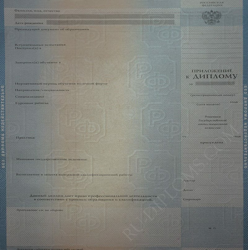 Диплом бакалавра 2004-2009 год  