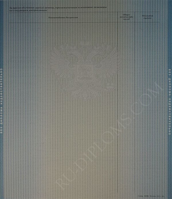 Диплом магистра 2010-2013 год 